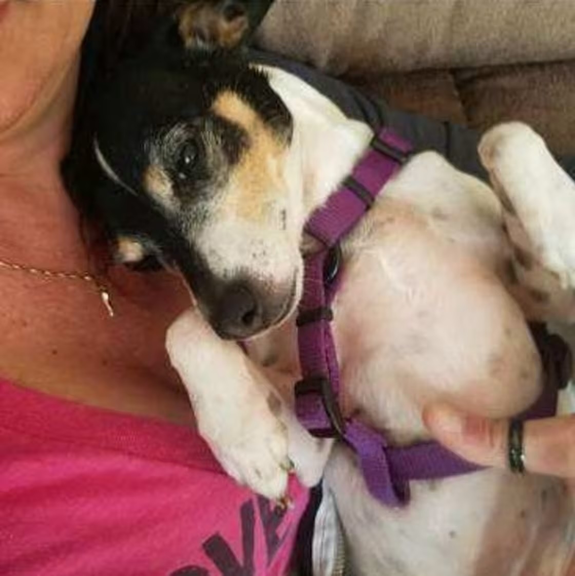 Precious, Laynee's dog